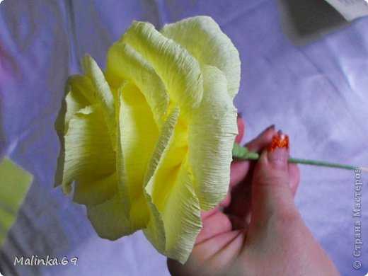 Как сделать розу и гофрированной бумаги и конфет – Роза из гофрированной бумаги — Букеты из конфет