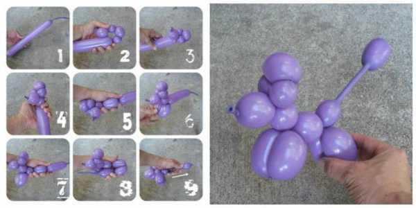 Как сделать собачку из шарика пошаговая инструкция – Как из шарика сделать собачку: поэтапная схема скручивания колбасок