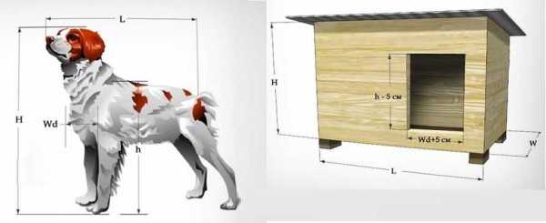Как сделать собаке конуру – Будка для собаки своими руками