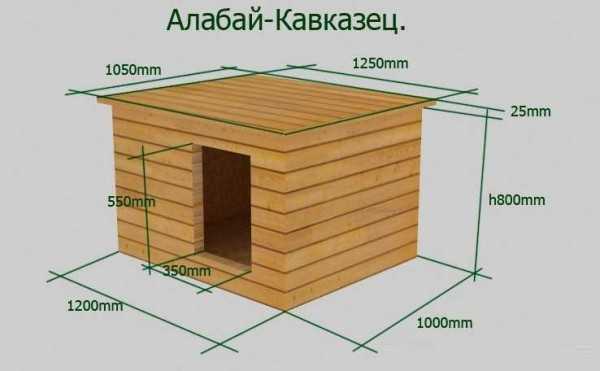 Как сделать собаке конуру – Будка для собаки своими руками