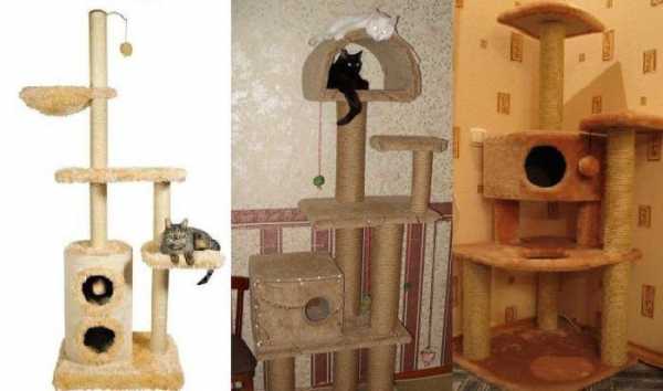Как сделать в домашних условиях домик для кошки – своими руками, пошаговая инструкция, игровой комплекс в домашних условиях, из картона, теплый уличный, когтеточка, примеры на фото
