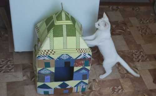 Как сшить домик для кошки из поролона своими руками – Как сшить домик для кошки