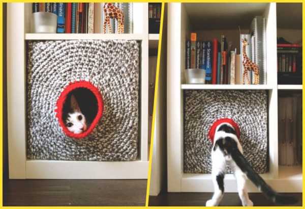Как своими руками сделать домики для кошек – Домик для кошки своими руками пошаговая инструкция с фото