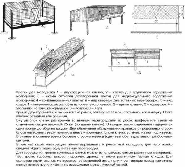 Клетка для откорма кроликов своими руками – Как сделать клетку для откорма кроликов
