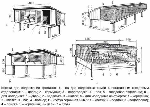 Клетка для откорма кроликов своими руками – Как сделать клетку для откорма кроликов