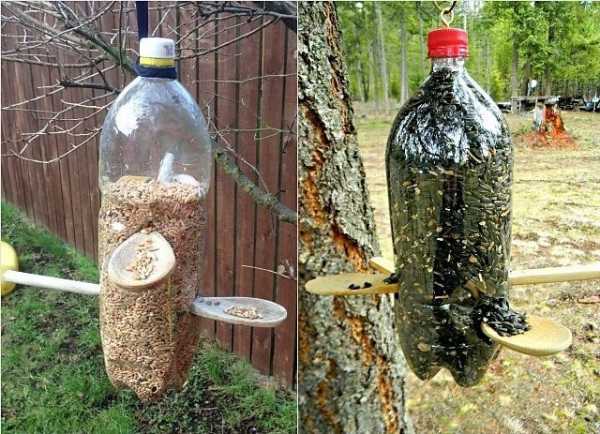 Кормушка из пластиковых бутылок для птиц – Кормушка для птиц из пластиковой бутылки: 700 фото, инструкции