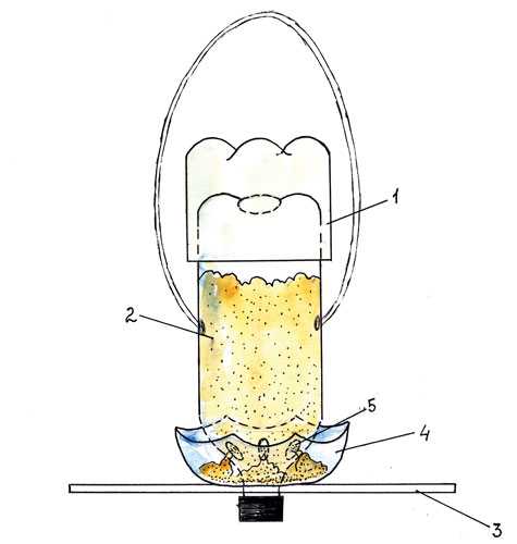 Кормушки для птиц своими руками из пластиковых бутылок фото – Кормушка для птиц из пластиковой бутылки: 700 фото, инструкции