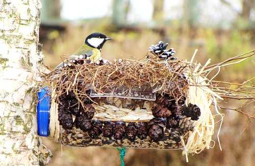 Кормушки для птиц своими руками из пластиковых бутылок фото – Кормушка для птиц из пластиковой бутылки: 700 фото, инструкции