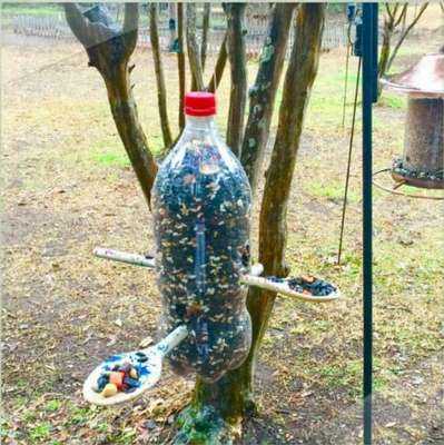 Кормушки для птиц своими руками из пластиковых бутылок фото – Кормушка для птиц из пластиковой бутылки: 700 фото, инструкции