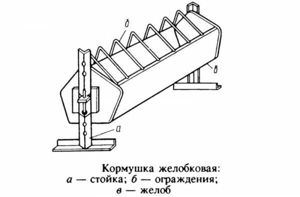 Кормушки своими руками для птиц как сделать – Кормушки для птиц - изготавливаем самостоятельно 55 фото идей по дизайну