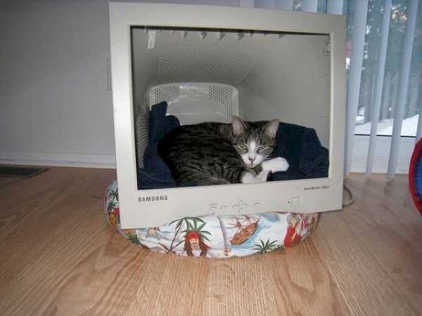 Кошкин домик – Домик для кошки своими руками пошаговая инструкция с фото