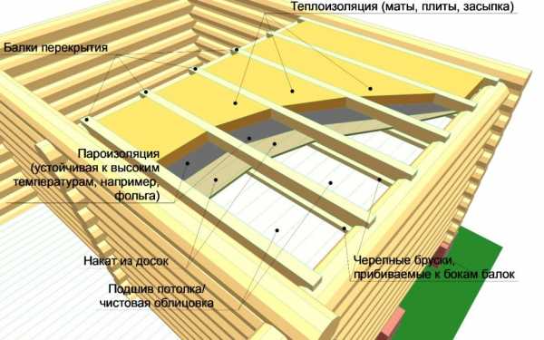 Курятник крольчатник – возможно ли содержать их вместе, особенности содержания