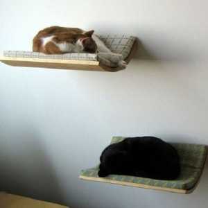 Лесенка для кошки своими руками – Лестница для кошки своими руками