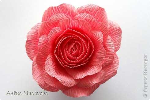 Листья для розы из гофрированной бумаги – Розы из гофрированной бумаги пошагово.