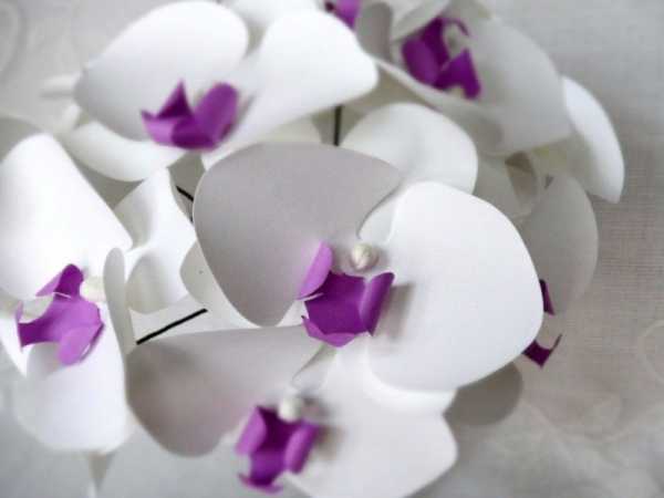 Орхидеи своими руками из бумаги – Как сделать орхидею из бумаги своими руками.
