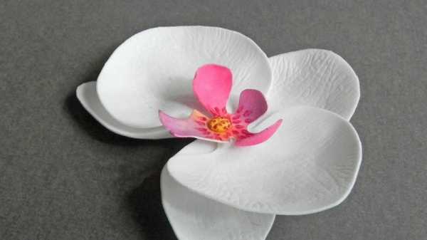 Орхидеи своими руками из бумаги – Как сделать орхидею из бумаги своими руками.
