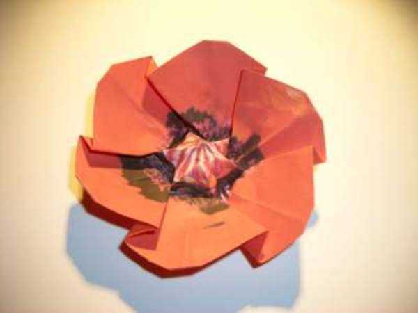 Оригами цветок простой цветок – : . . - 50 -!