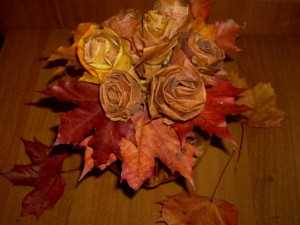 Осенние поделки из листьев розы – .