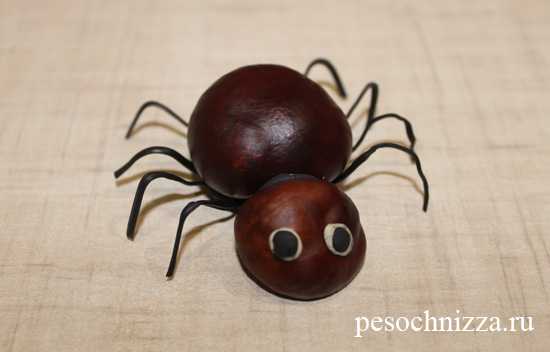 Паучок поделка из природного материала – Поделка паук на паутине из природного материала