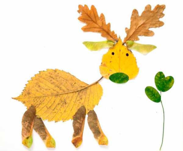 Поделка из пластилина и листьев – Осенние листья из пластилина | МОРЕ творческих идей для детей
