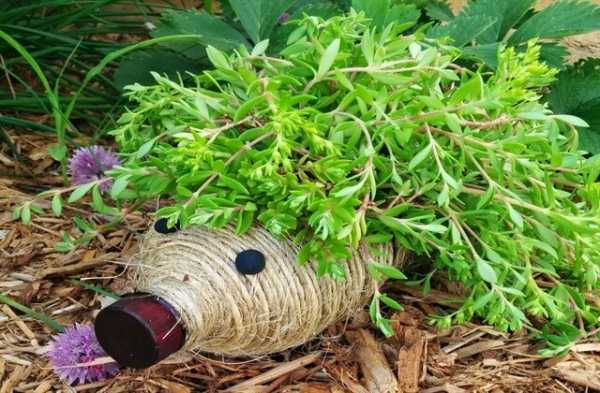 Поделки для сада своими руками из бутылок – пошаговые мастер-классы и лучшие идеи для хэндмейда (100+ фото)