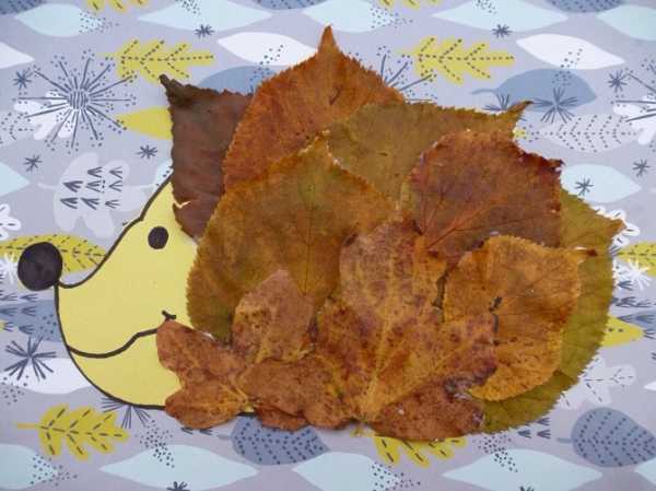 Поделки из листьев на тему осень ежик – осенние листья и другие подручные материалы для творчества