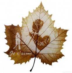 Поделки на листе бумаги из листьев – Поделка из Листьев на Листе Бумаги Своими Руками: (55+ Фото)