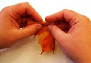 Поделки на тему осенний букет из природных материалов – Осенние букеты своими руками для школы из природного материала