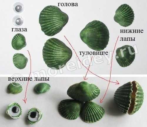 Поделки с детьми из ракушек – 15 ярких идей для детских поделок из морских ракушек