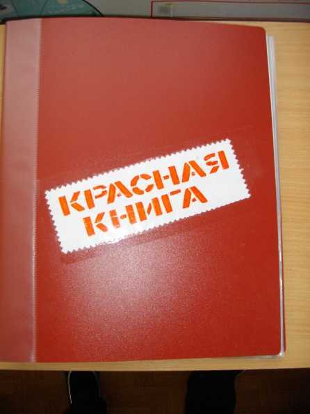 Поделки животных из красной книги своими руками – Живая Красная книга | Страна Мастеров