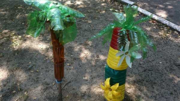 Пошагово из пластиковых бутылок пальму сделать – Пальма из пластиковых бутылок своими руками пошагово для начинающих, фото
