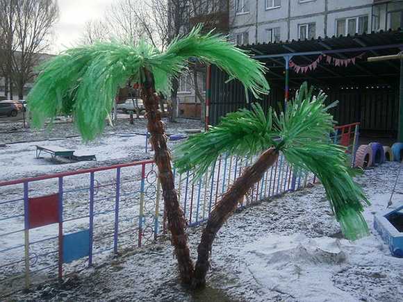 Пошагово из пластиковых бутылок пальму сделать – Пальма из пластиковых бутылок своими руками пошагово для начинающих, фото