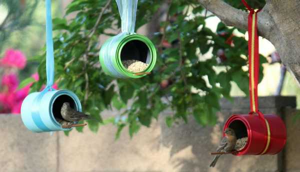 Птичьи кормушки своими руками фото – Кормушки для птиц - изготавливаем самостоятельно 55 фото идей по дизайну