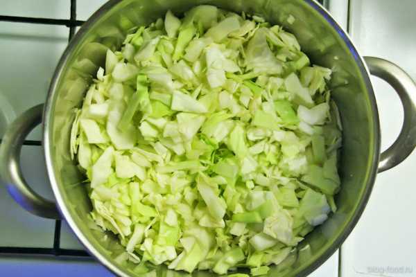 Рецепт солянка с мясом и капустой – Солянка из капусты с мясом (пошаговый рецепт с фото)