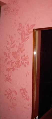 Рисунки шпаклевкой на стенах – как сделать красивую картину или нестандартный узор на стене в зале, спальне или кухне техникой нанесения жидкой шпатлевки