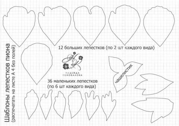 Схемы цветов из фоамирана – 9 схем и шаблонов с фото