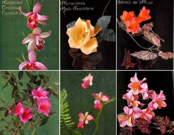 Схемы цветов из фоамирана – 9 схем и шаблонов с фото