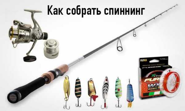 Снасти для спиннинга своими руками – Как собрать спиннинг новичку и какие снасти нужны для оснащения