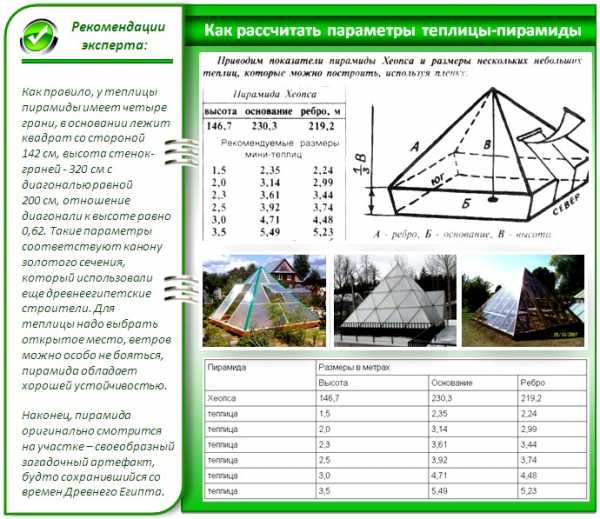 Строительство теплицы из поликарбоната своими руками – Теплица из поликарбоната своими руками