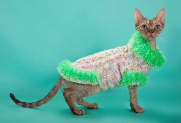 Вязание кота – Кот крючком, 39 моделей с описанием и схемами