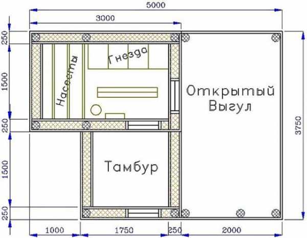 Зимний курятник своими руками фото – Как построить тёплый курятник на зиму своими руками