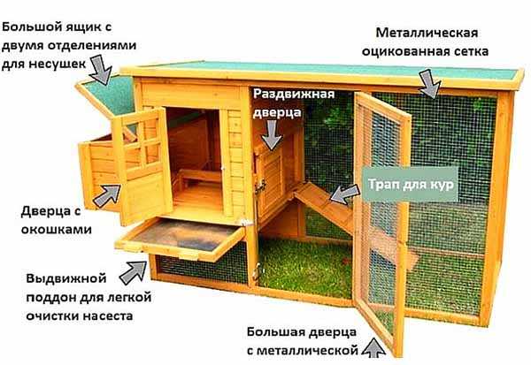 Зимний курятник своими руками фото – Как построить тёплый курятник на зиму своими руками